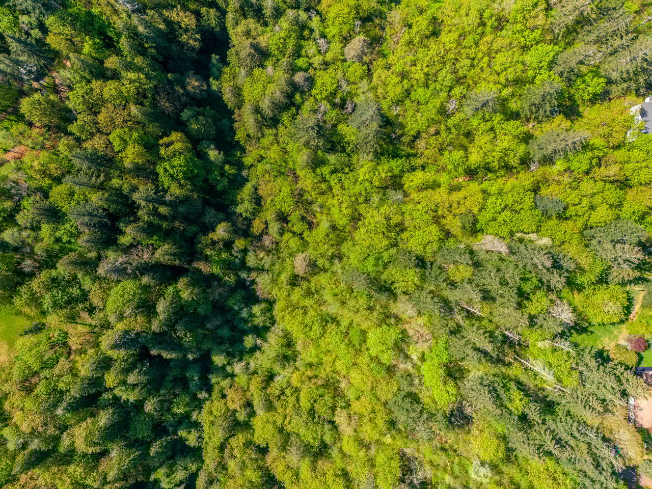 Affordable 5-Acre Land with Year-Round Creek in Washougal, WA