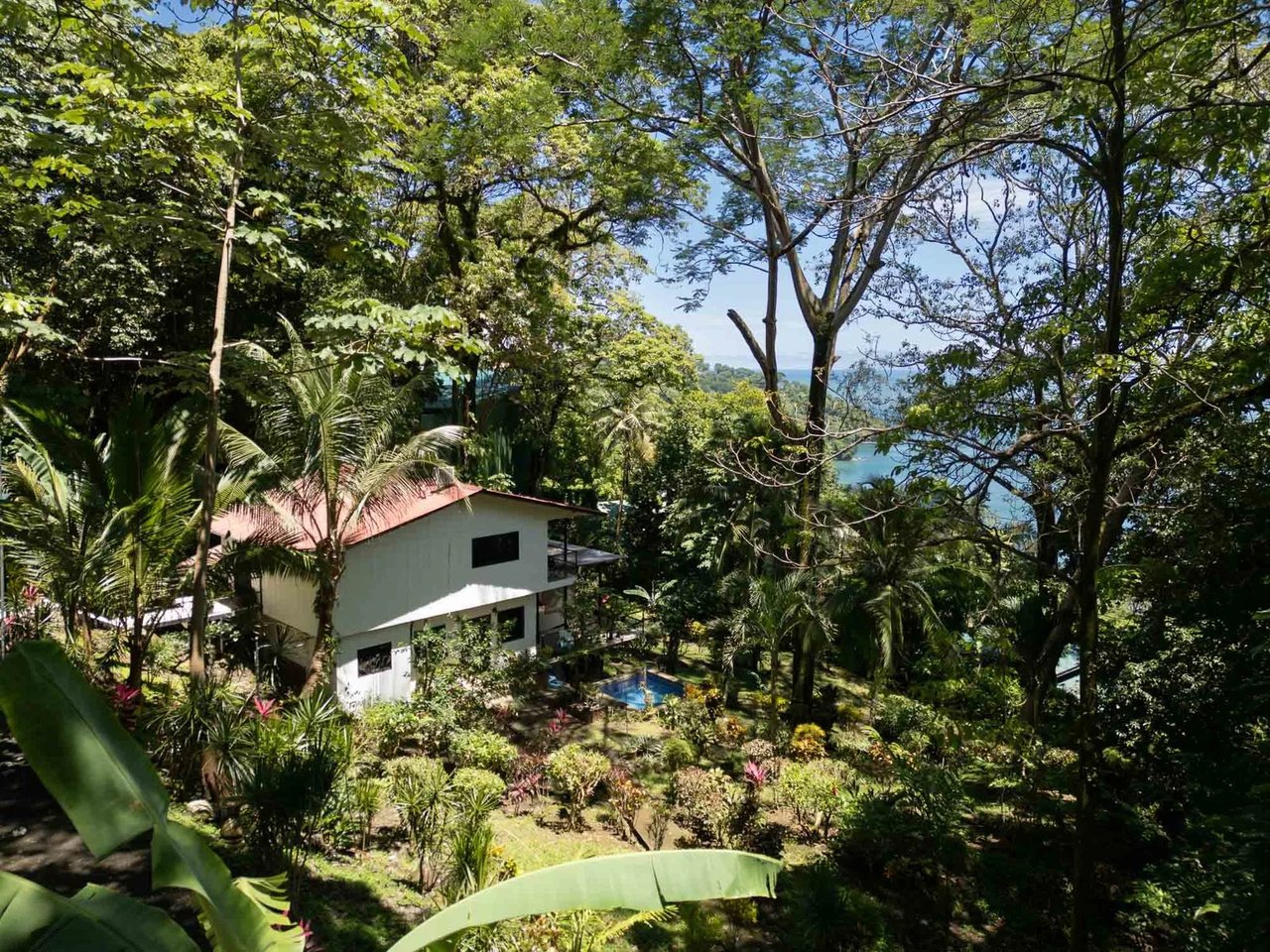 Ocean View Estate Property