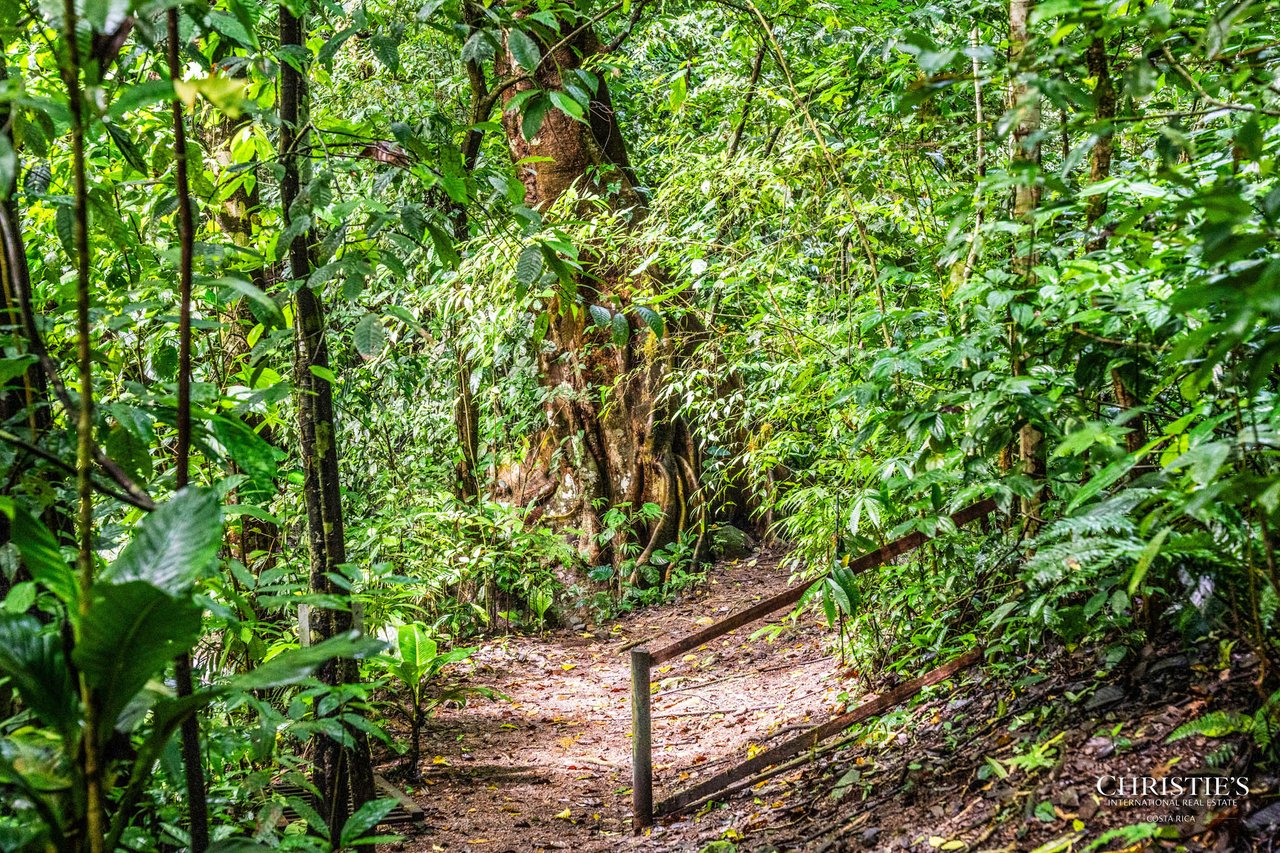 El Encanto Estate Waterfall, Regenerative Land & Carbon‑Neutral Sanctuary a Legacy Property