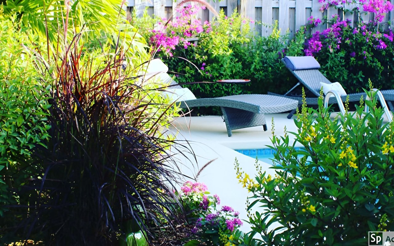 Planning Your Gardens