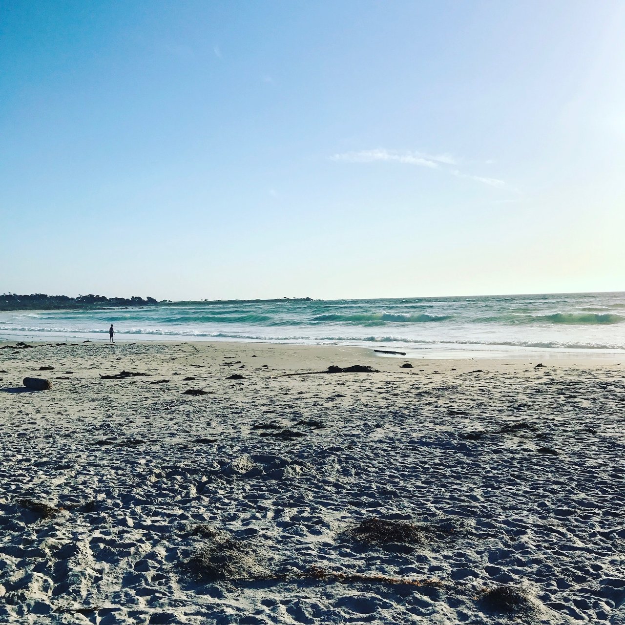 Summer Shores of the Monterey Peninsula