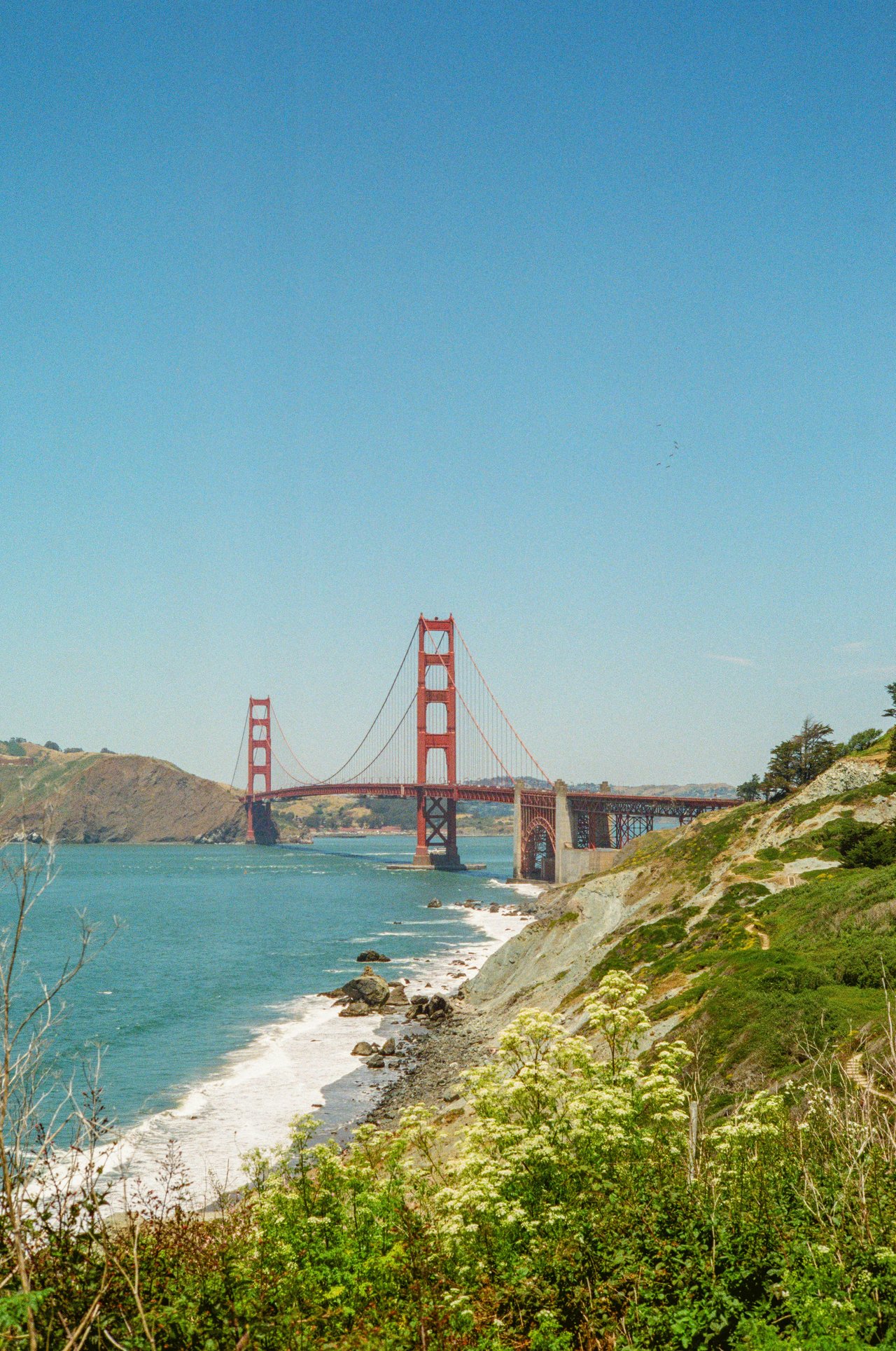 Default Image