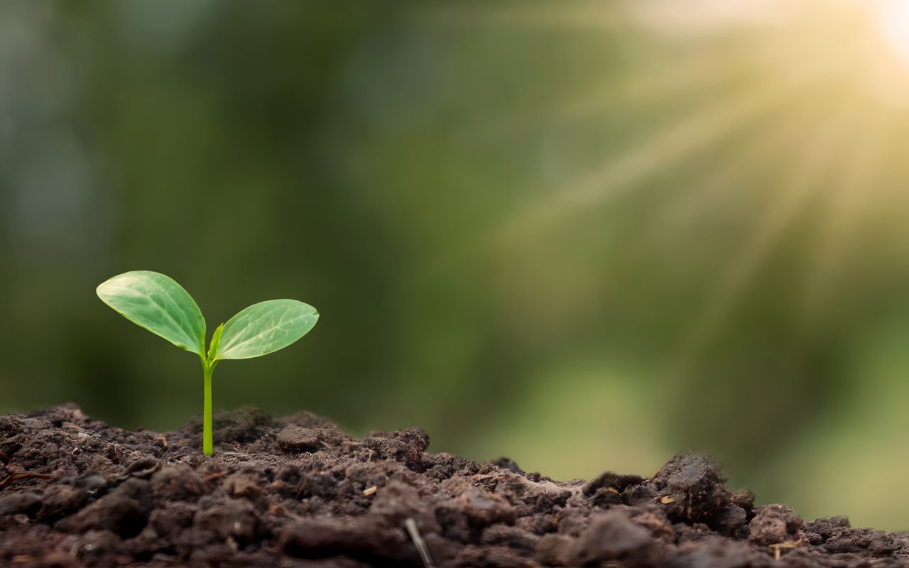 The Growing Appeal of Midwest Suburbs: Where to Move for More Space and Affordability