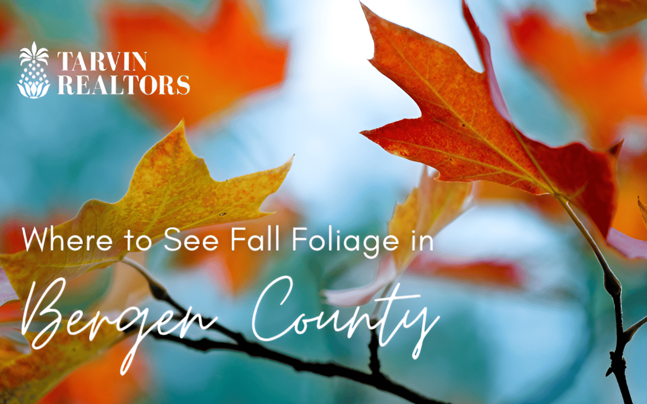5 Parks for Fall Foliage in Bergen County
