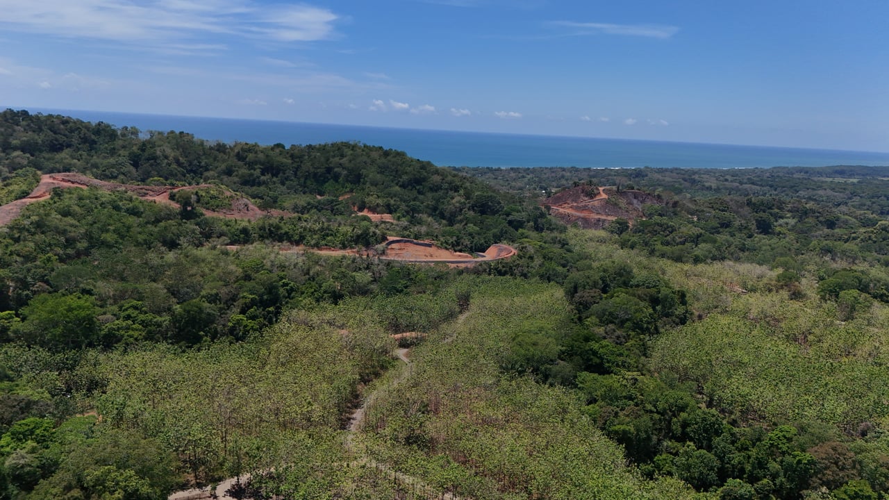 Prime 1.24-Acre Land in Matapalo / San Andrés – Ready to Build