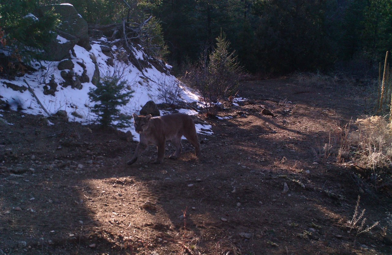 Elk Mountain Ranch