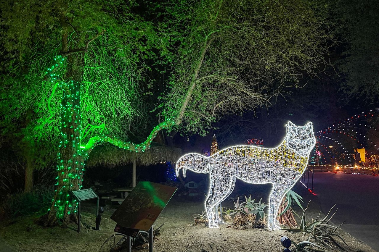 Experience the Magic of WildLights Evenings at The Living Desert Zoo and Gardens