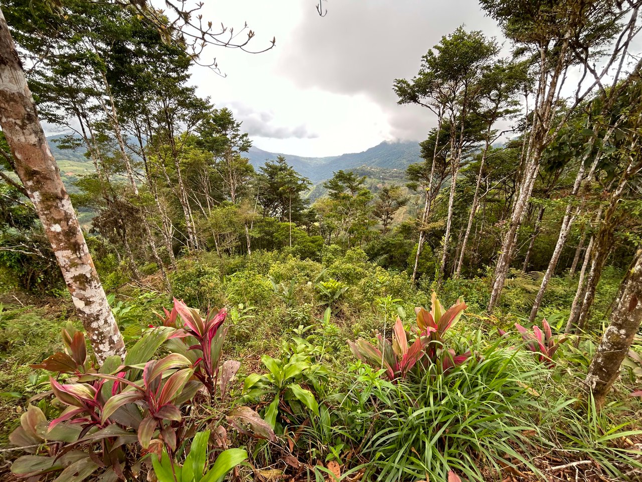 Whale Tail, Ocean & Mountain View lot in San Luis.