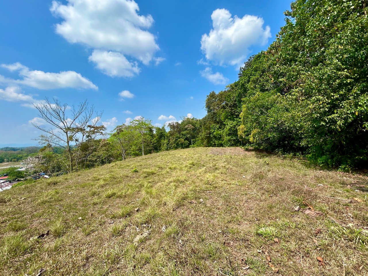 Mix Use Land in Palmar Norte with Costanera Access and Several Potential Buiding Sites - Over 10 Acres