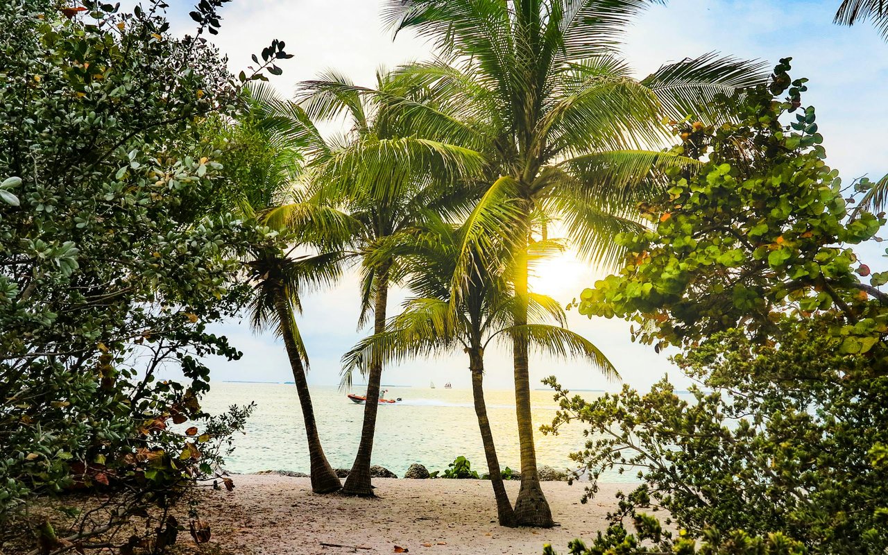 Belleair Shores