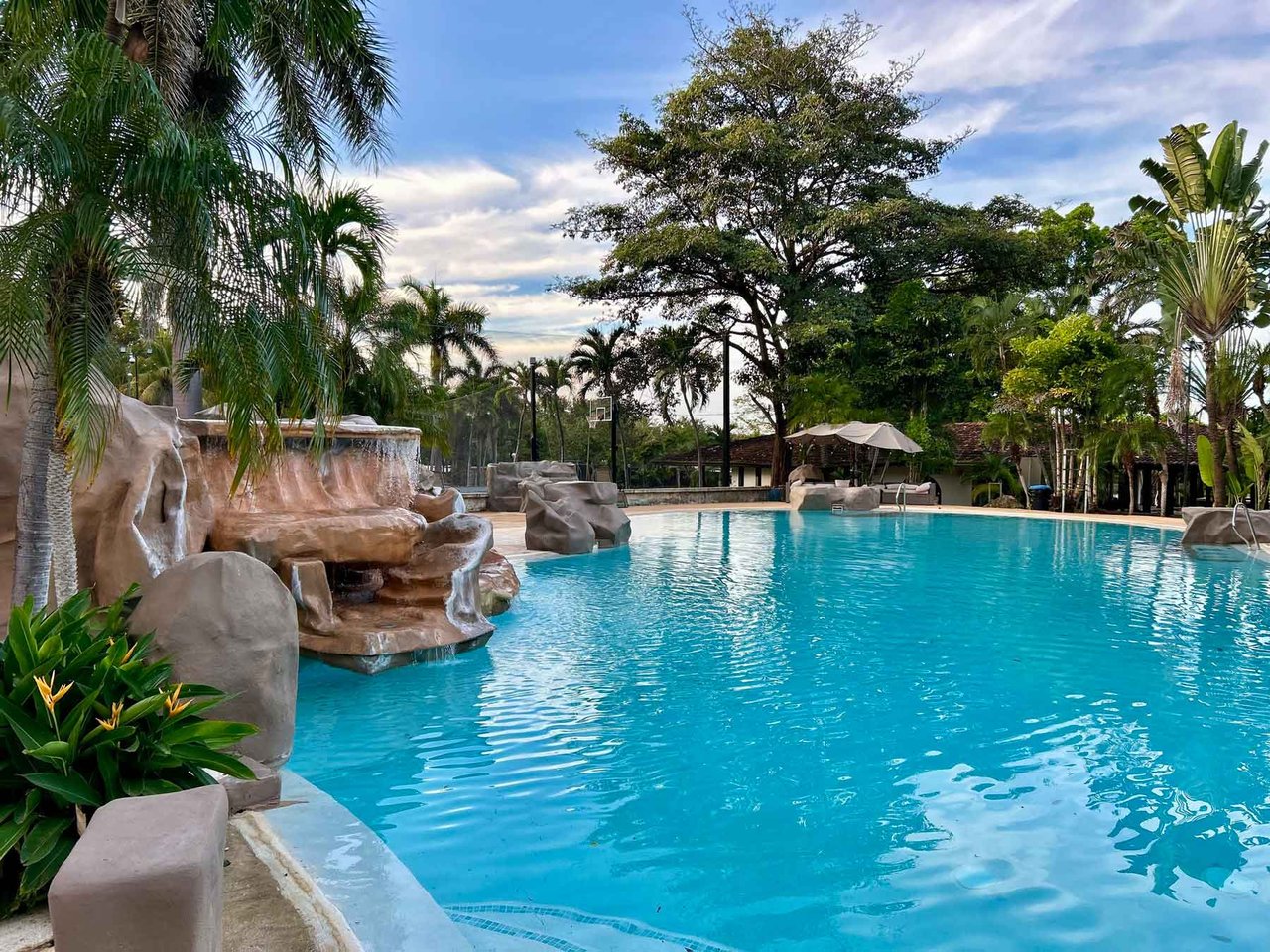 Let’s Play Kid’s Cafe | Turnkey Kid-Friendly Café & Event Business for Sale in Tamarindo’s Roca Mística