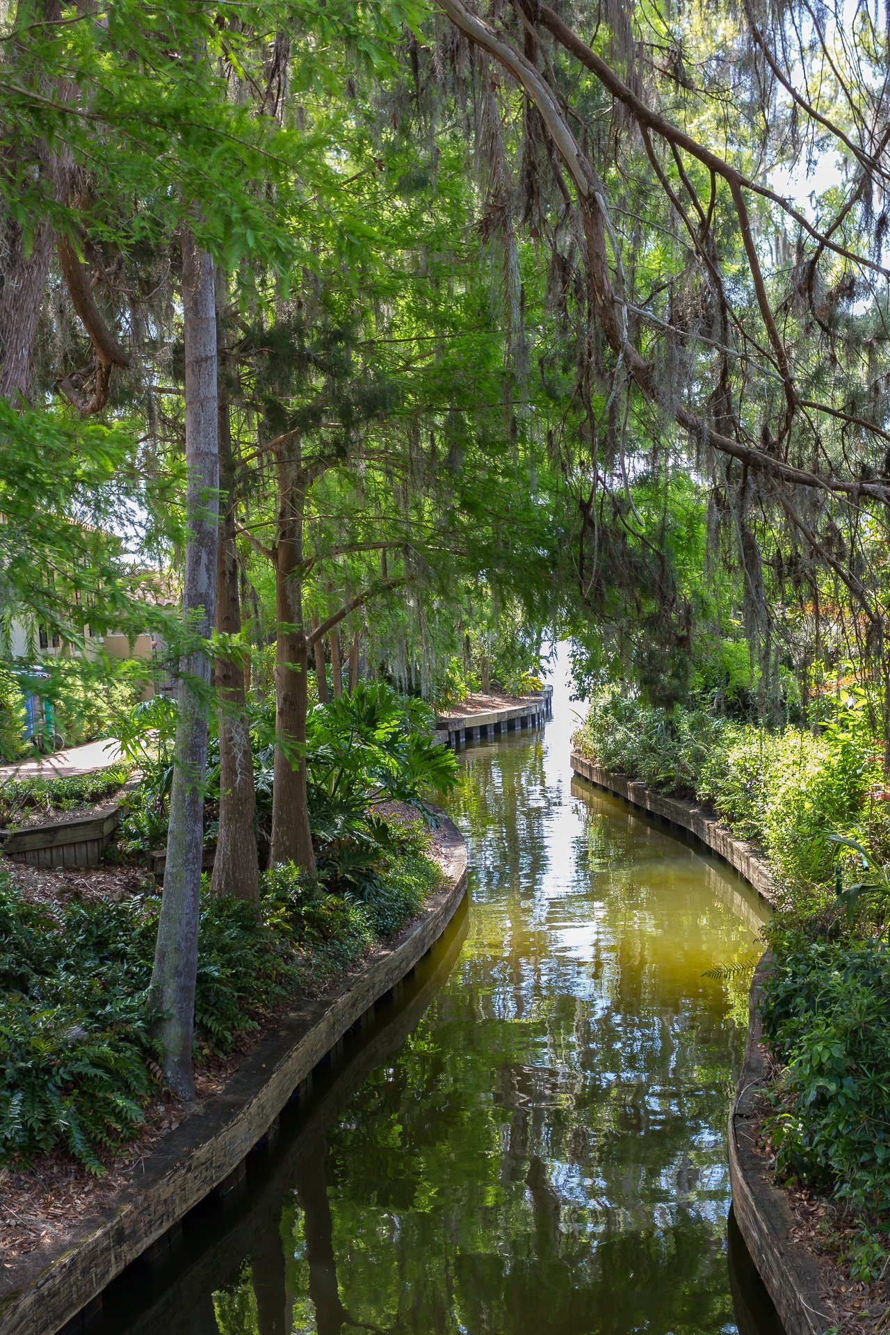 Living in Winter Park, FL: A Local Realtor’s Guide for Out‑of‑State & Luxury Buyers