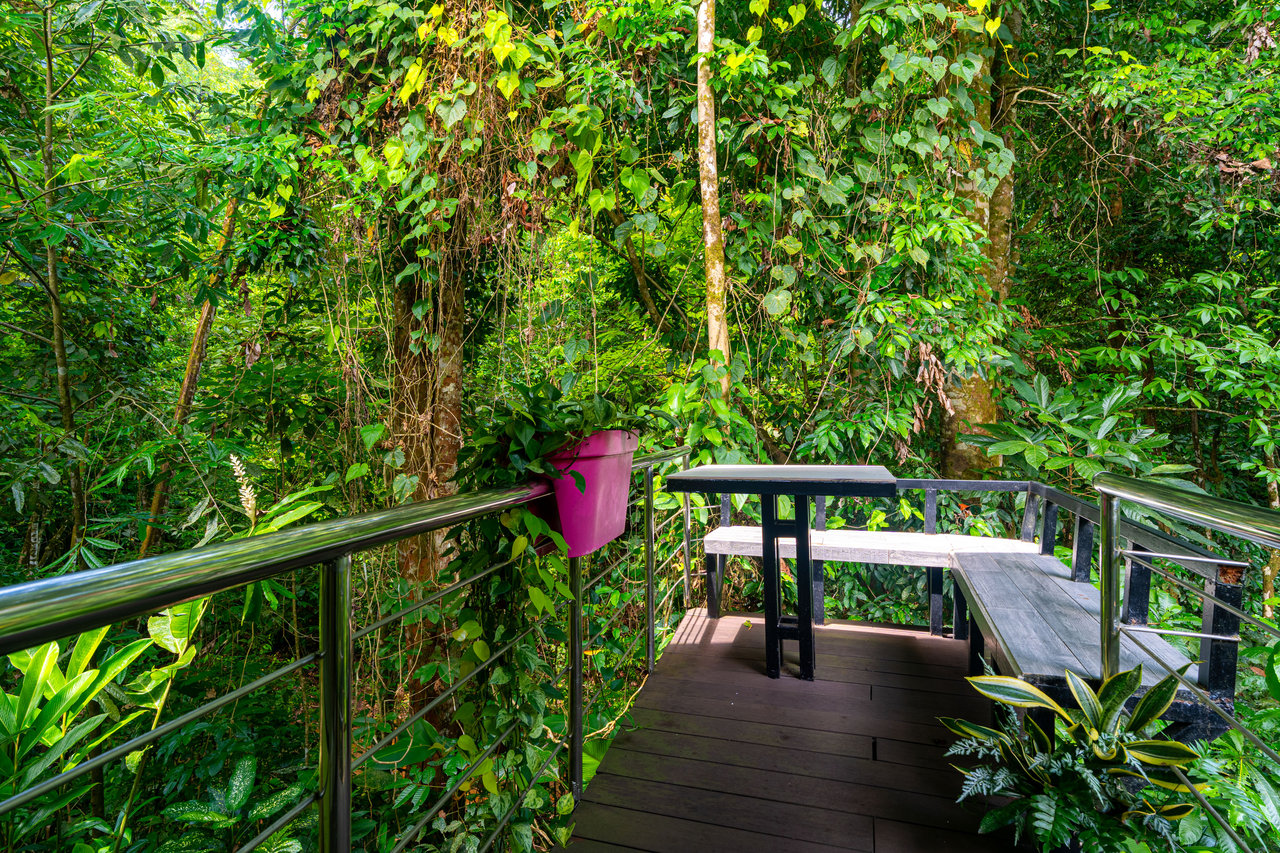 Yaba Chigui, Turnkey Riverside Eco-Resort or Private Family Compound in Ojochal
