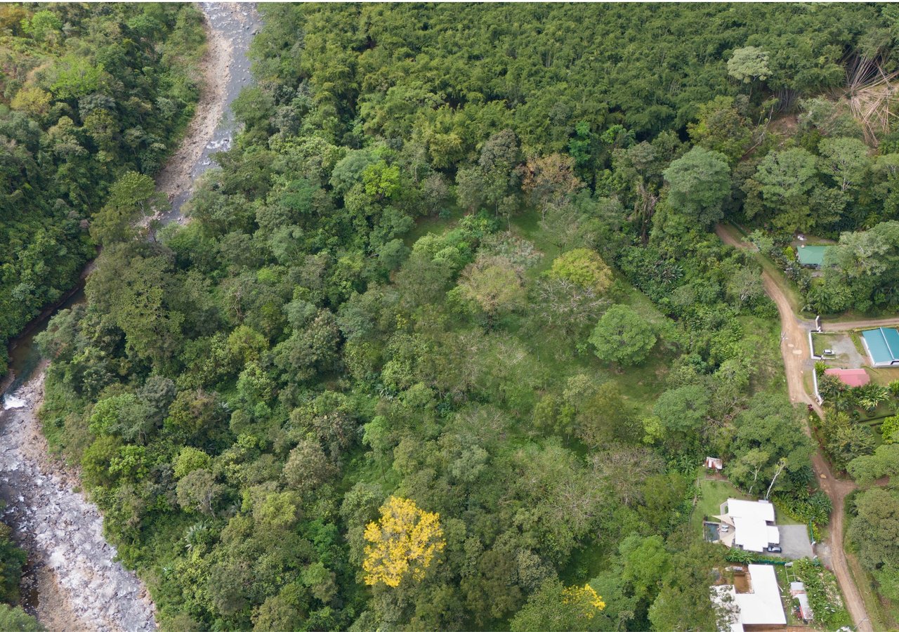Bamboo Forest Estates – Prime Lots for Sale in Uvita, Costa Rica | Riverfront Land with Utilities