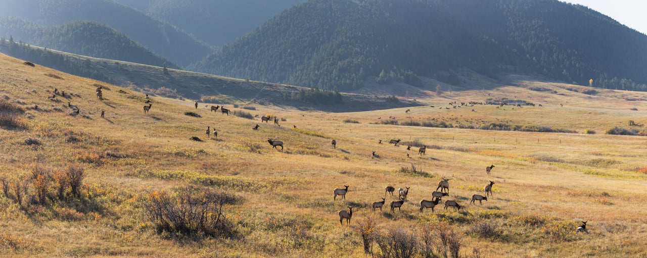 Box Elder Ranch