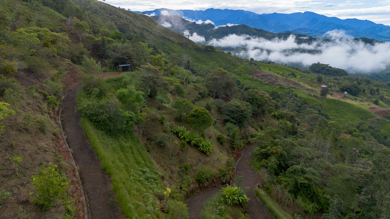 10.21 Acres with Views & Plantels – Pérez Zeledón