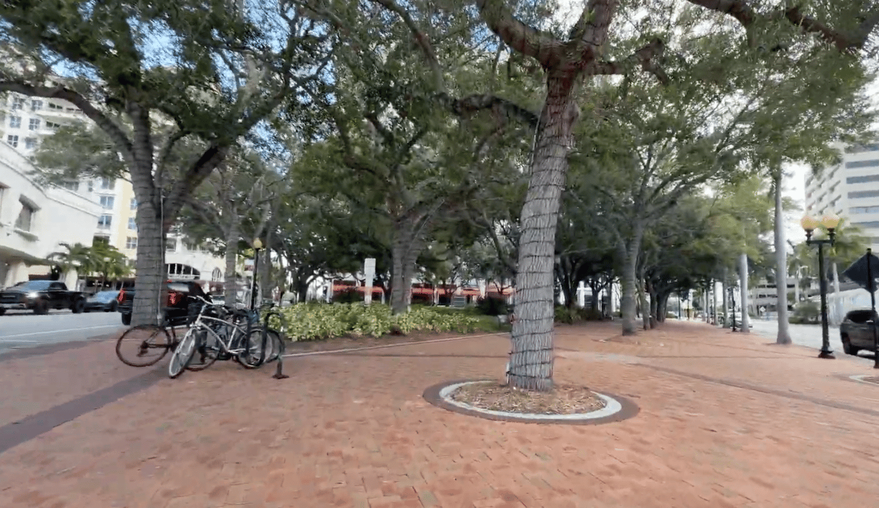 Brick-paved downtown Sarasota plaza shaded by mature trees, with bicycles parked beside the walkway.