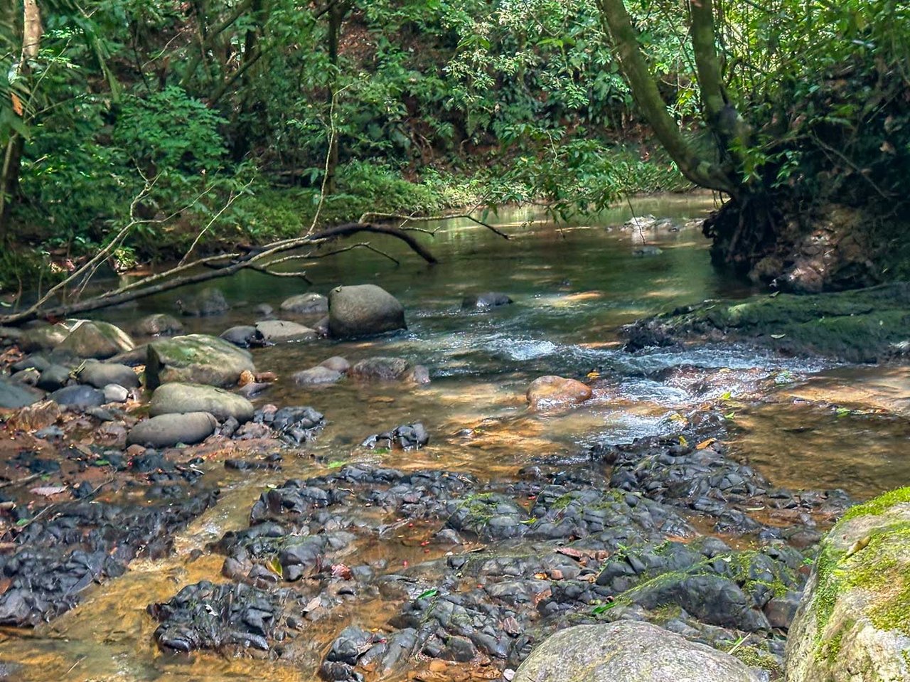 Jungle Home with Riverfront and Orchard in Ojochal Costa Rica