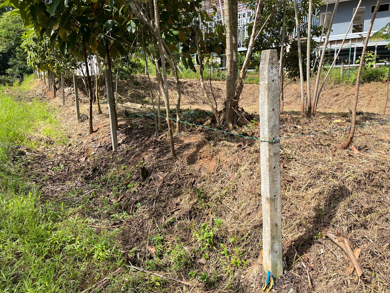 Affordable Uvita Lot UNDER $200-per-sqm - Perfect for Your Dream Home or Airbnb Investment
