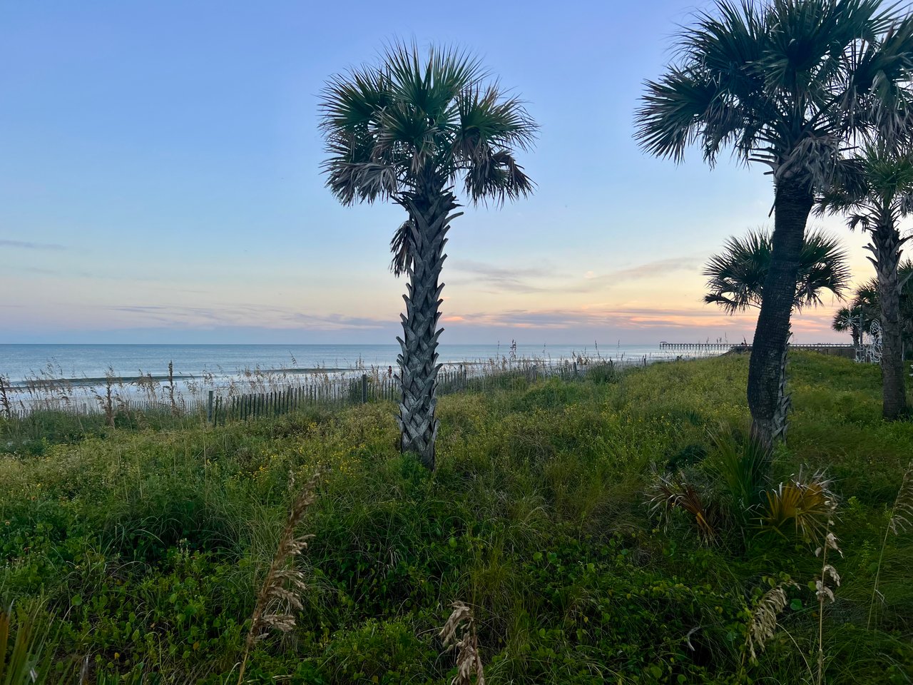 South Carolina's Booming Economy
