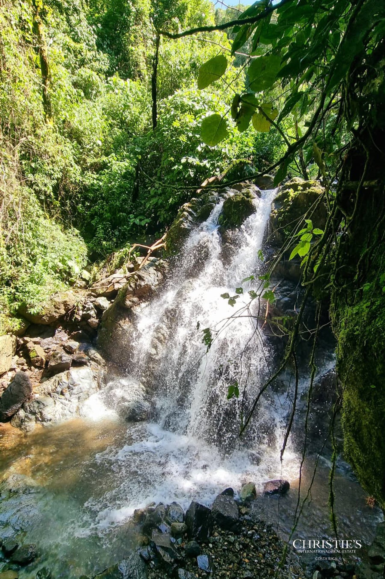 Prime Investment Opportunity: Costa Rica Oceanview Property
