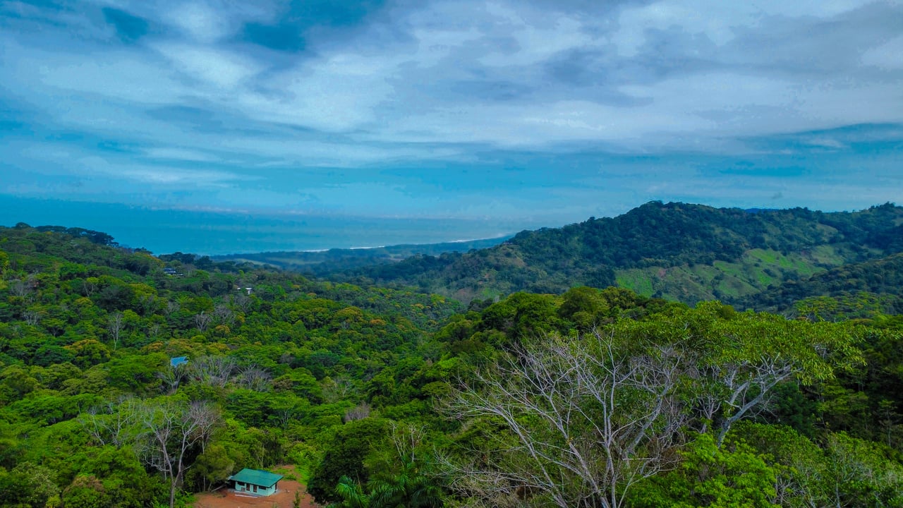 3.6 Acre Ocean View, Near the Beach & Cool Mountain Elevation