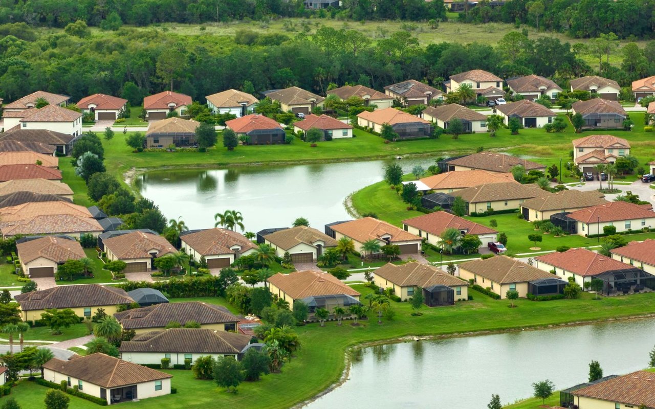 Tamarac