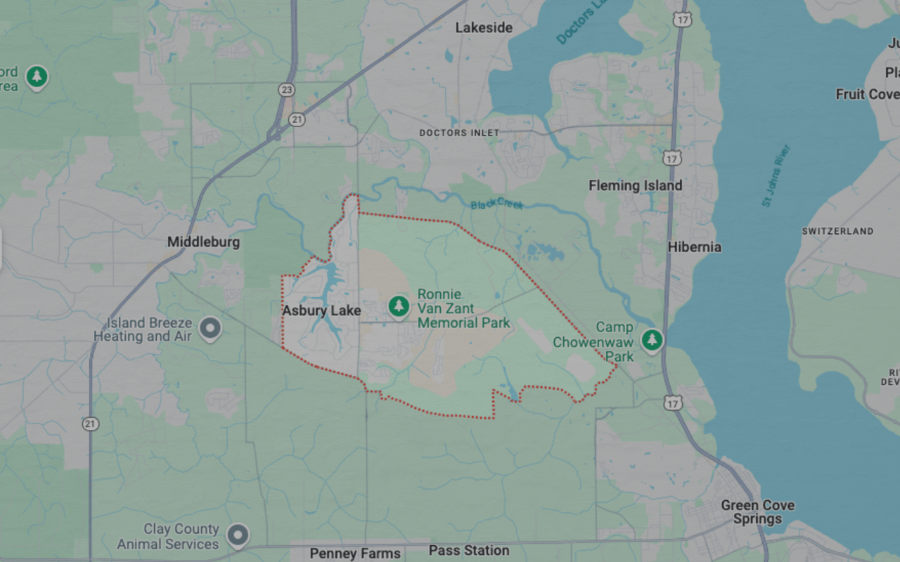Lake Asbury Homes For Sale
