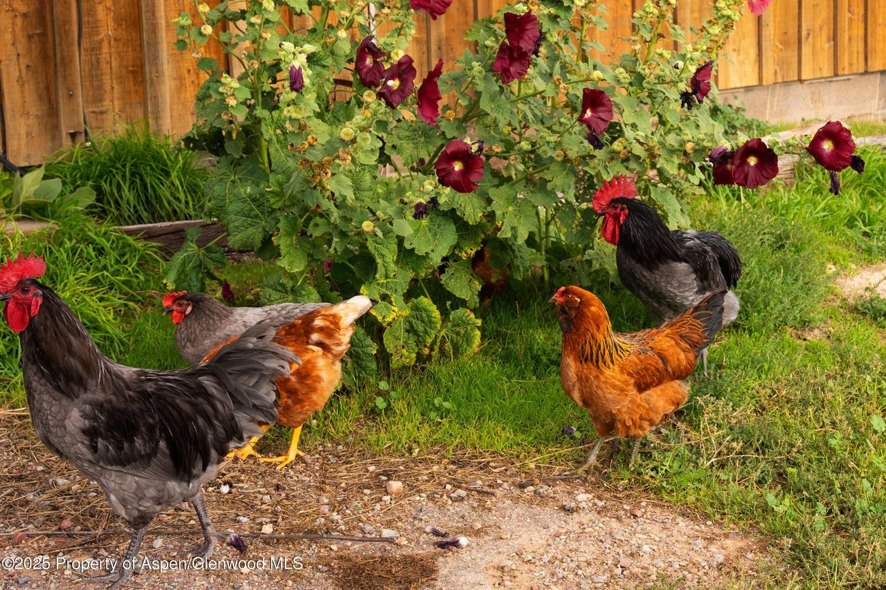 1644 Prince Creek Road