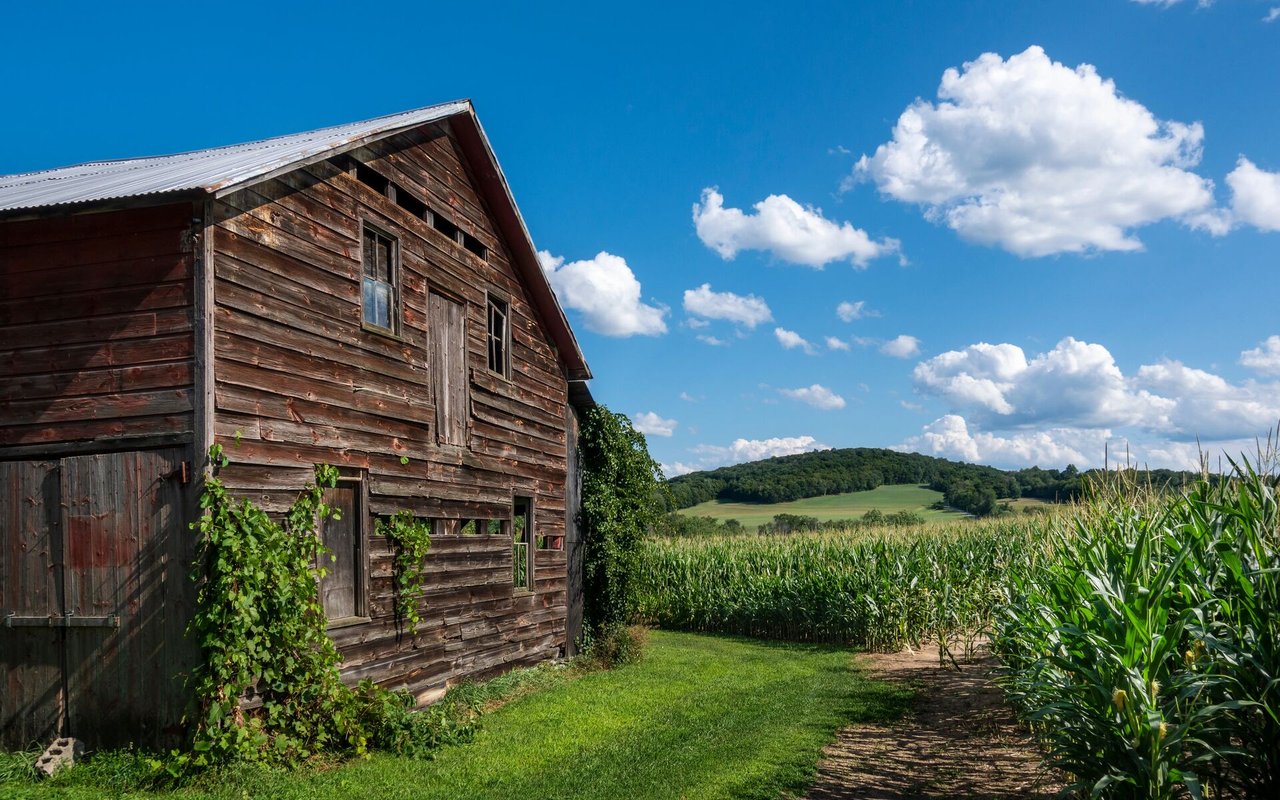 Wallkill, NY Homes for Sale