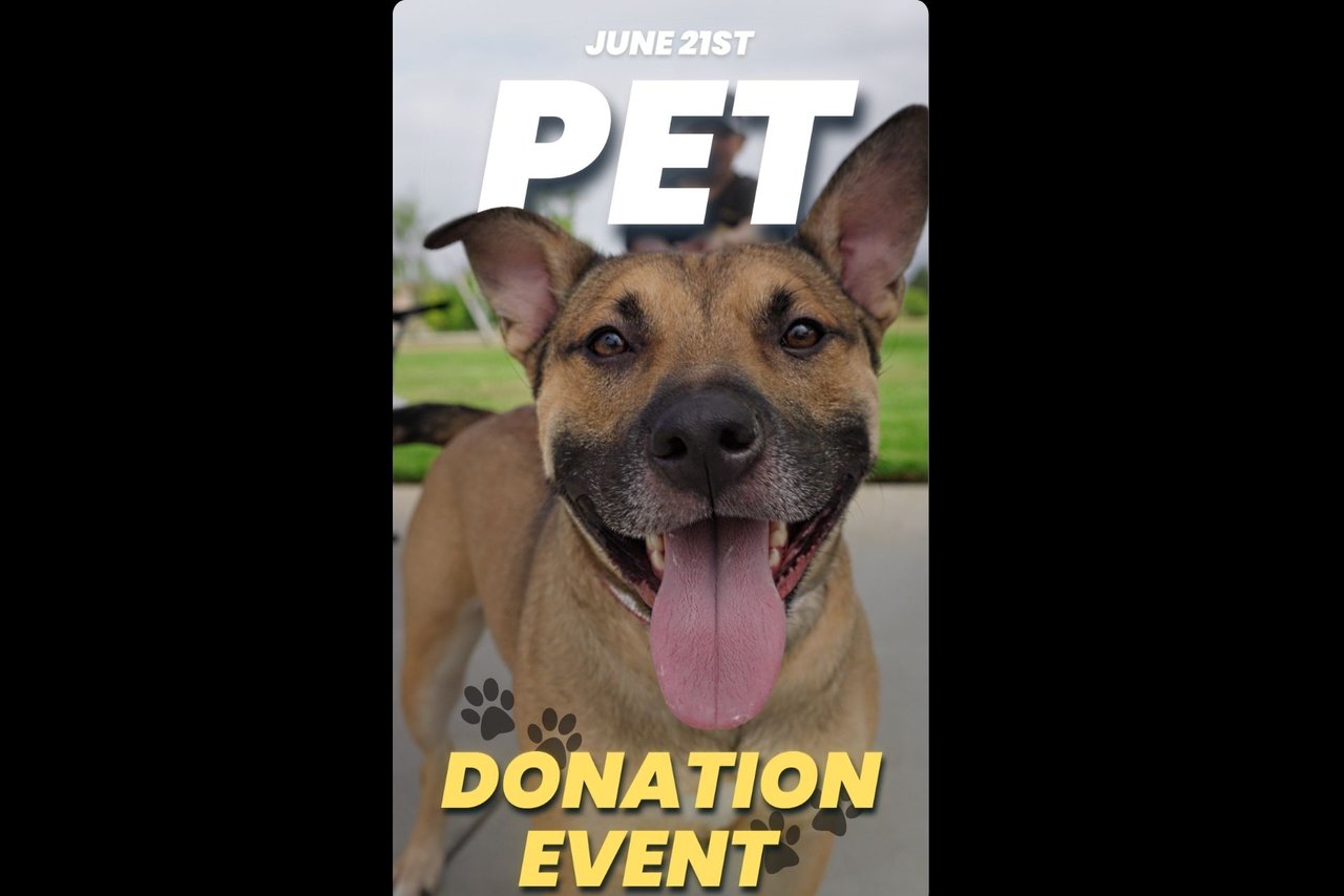 Paws for a Cause: Furry Friend Fundraiser Highlights!