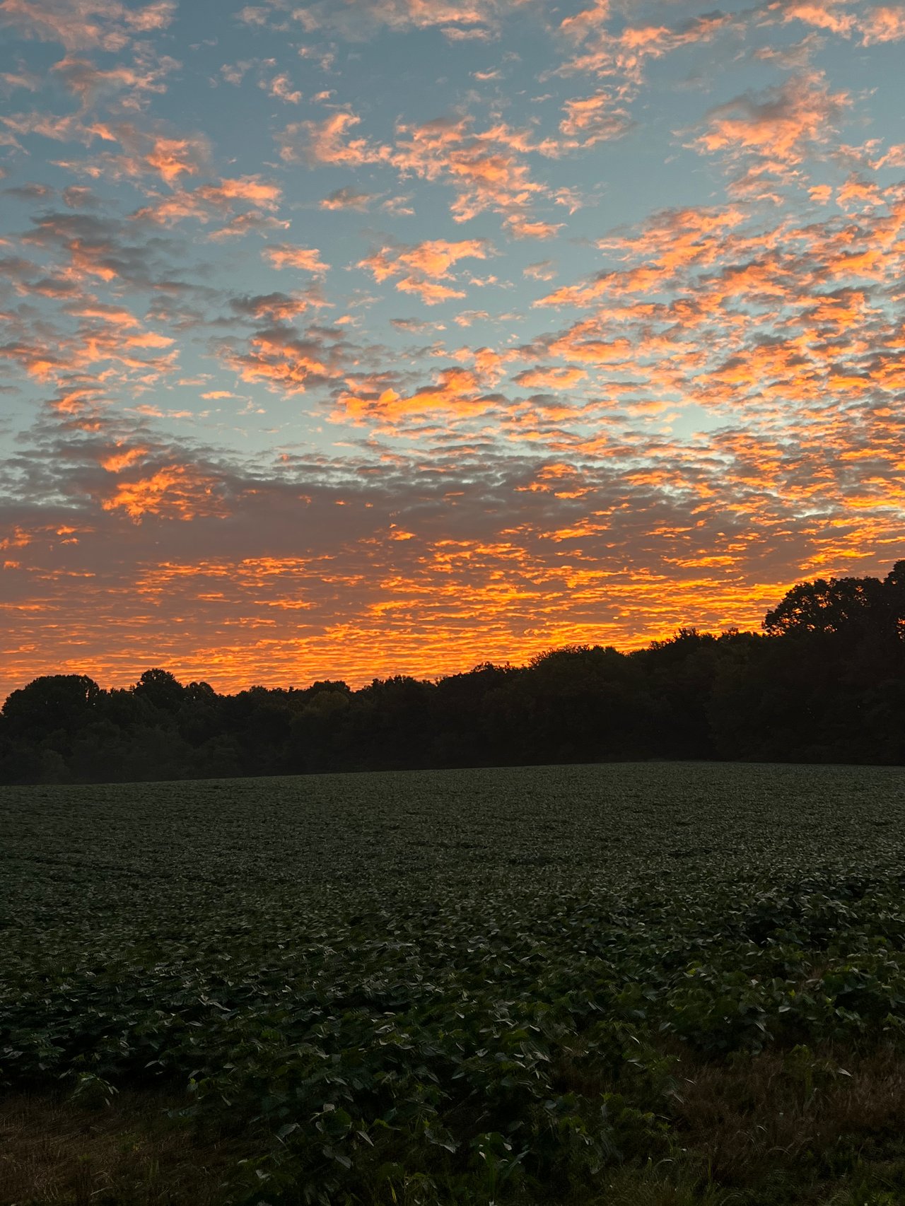 Cheatham County