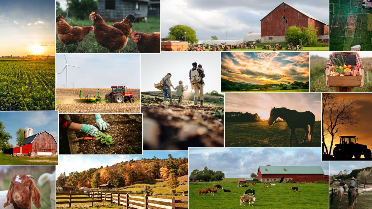 How Much Land Do You Actually Need for a True Hobby Farm?