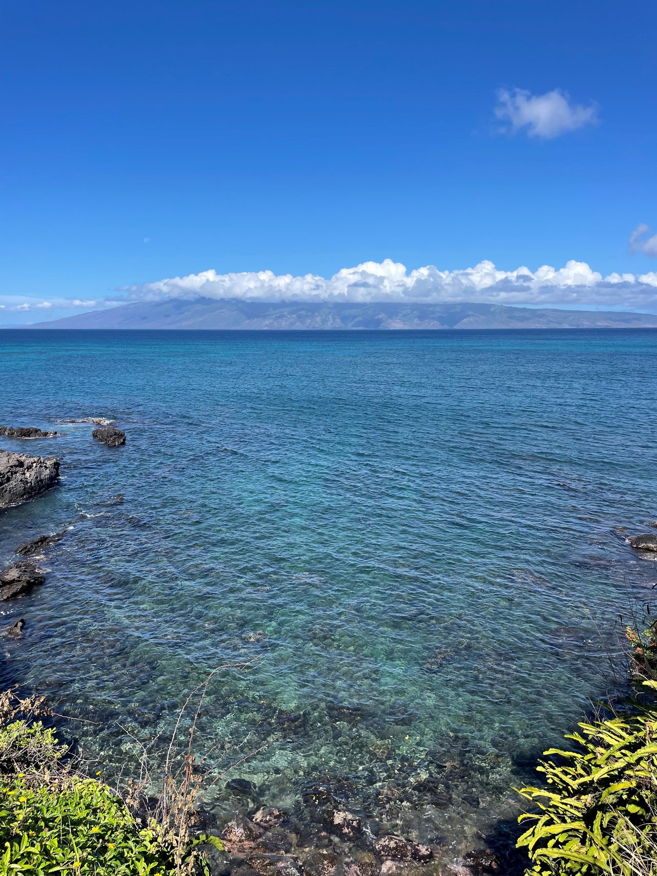 Alaeloa in Napili ocean cove with Molokai in distance