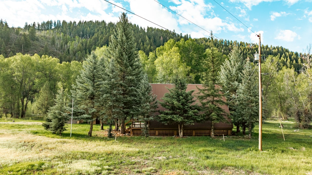 Cabin partly hidden among evergreens in a grassy clearing below a forested mountain.