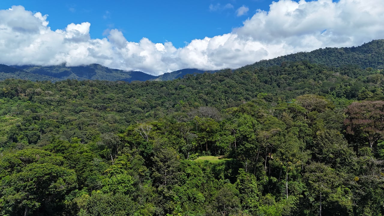 1.7 Acres Ocean View Lot with Producing Cabin in Uvita