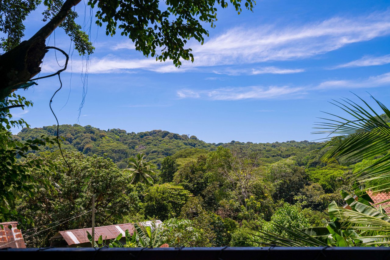 Artistic river home in the rainforest