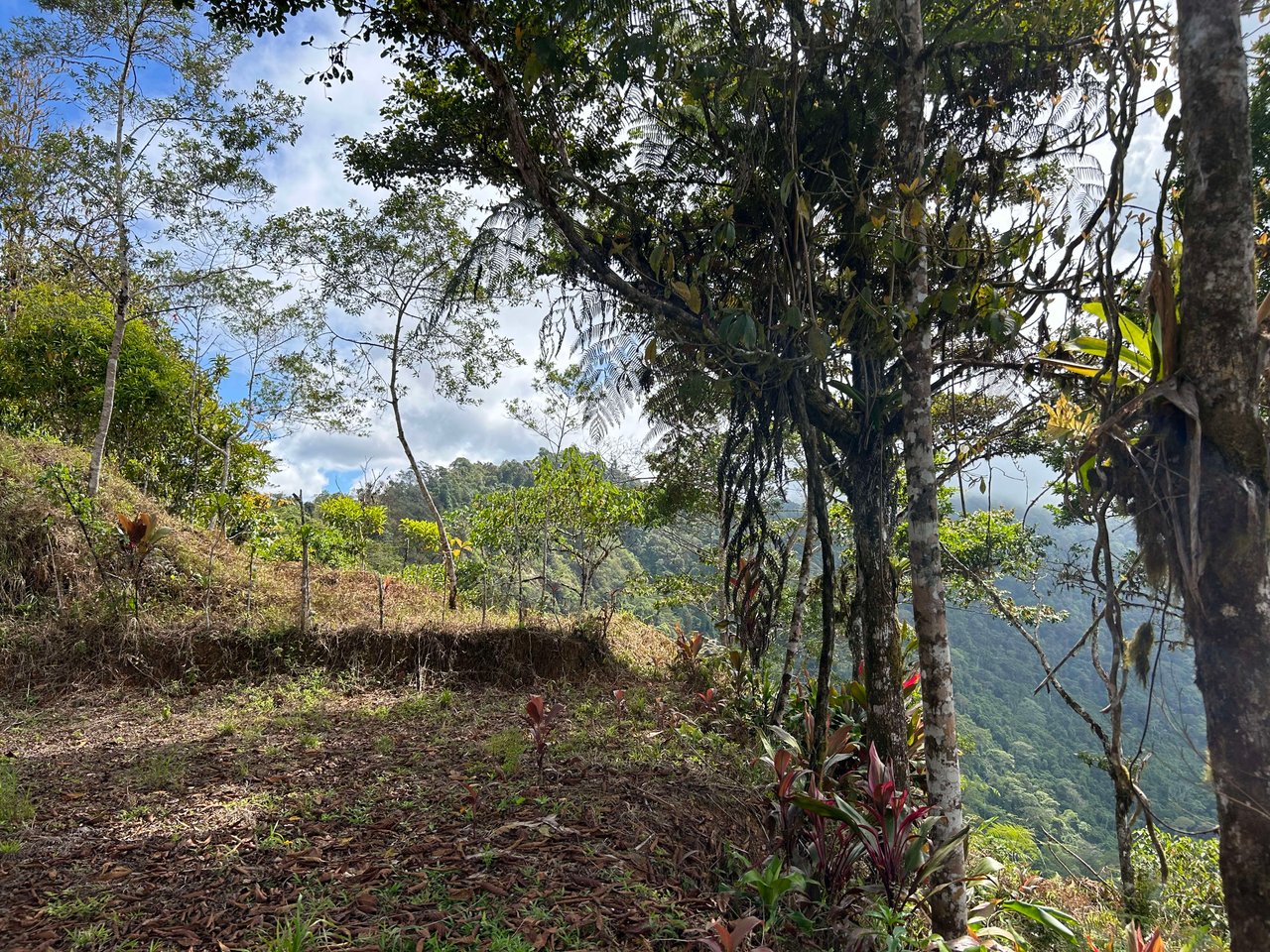 Whale Tail, Ocean & Mountain View lot in San Luis.