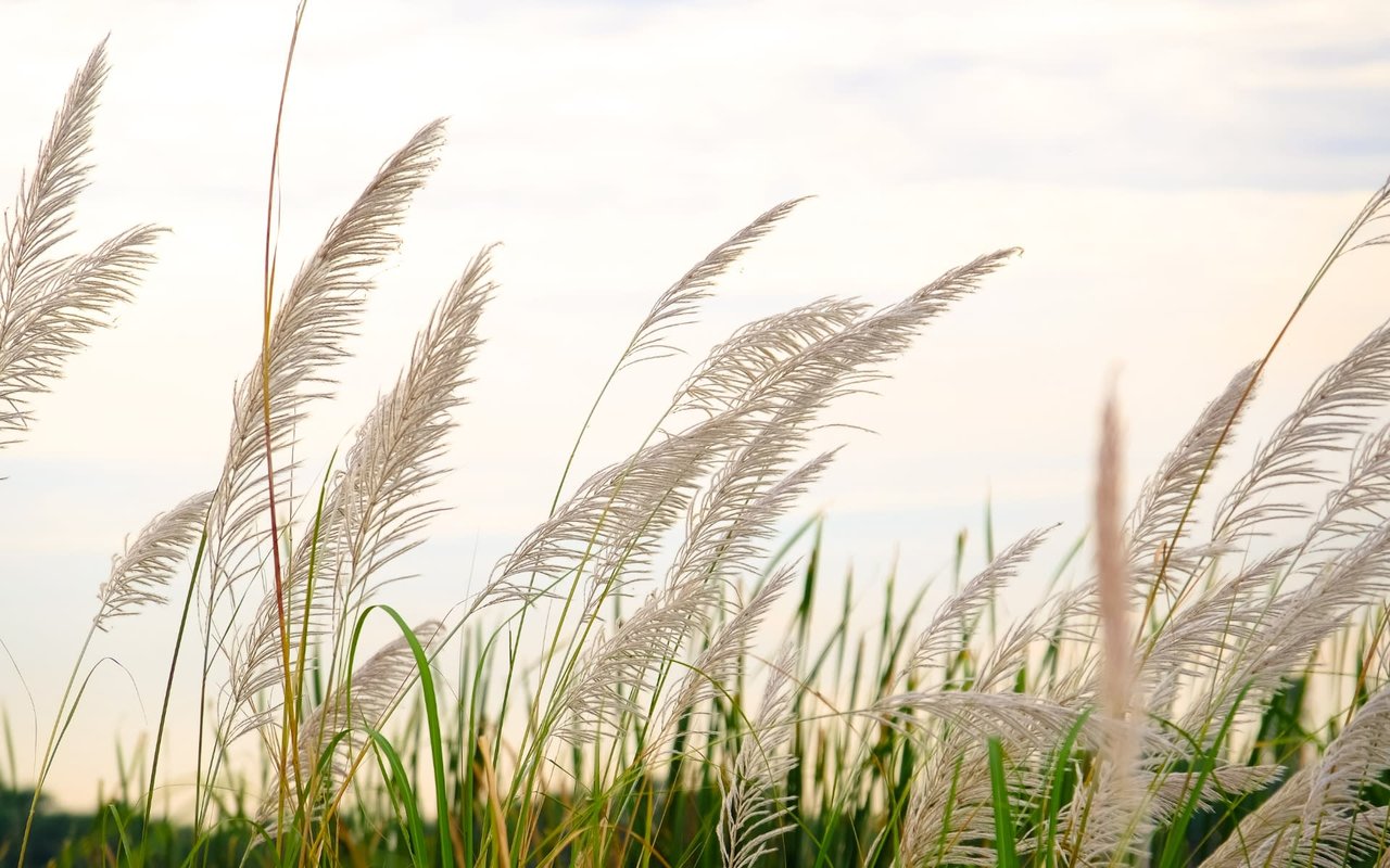 4 HOME BUYING TIPS IN 2023