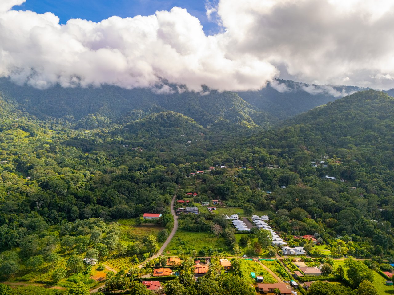 Casa Luna, 3bed /3bath Private Oasis, Convenient Location