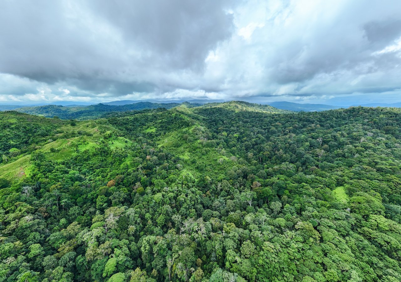 776 Hectares Prime Land in Osa | Ocean Views, Waterfalls, Rivers & Sierpe River Access