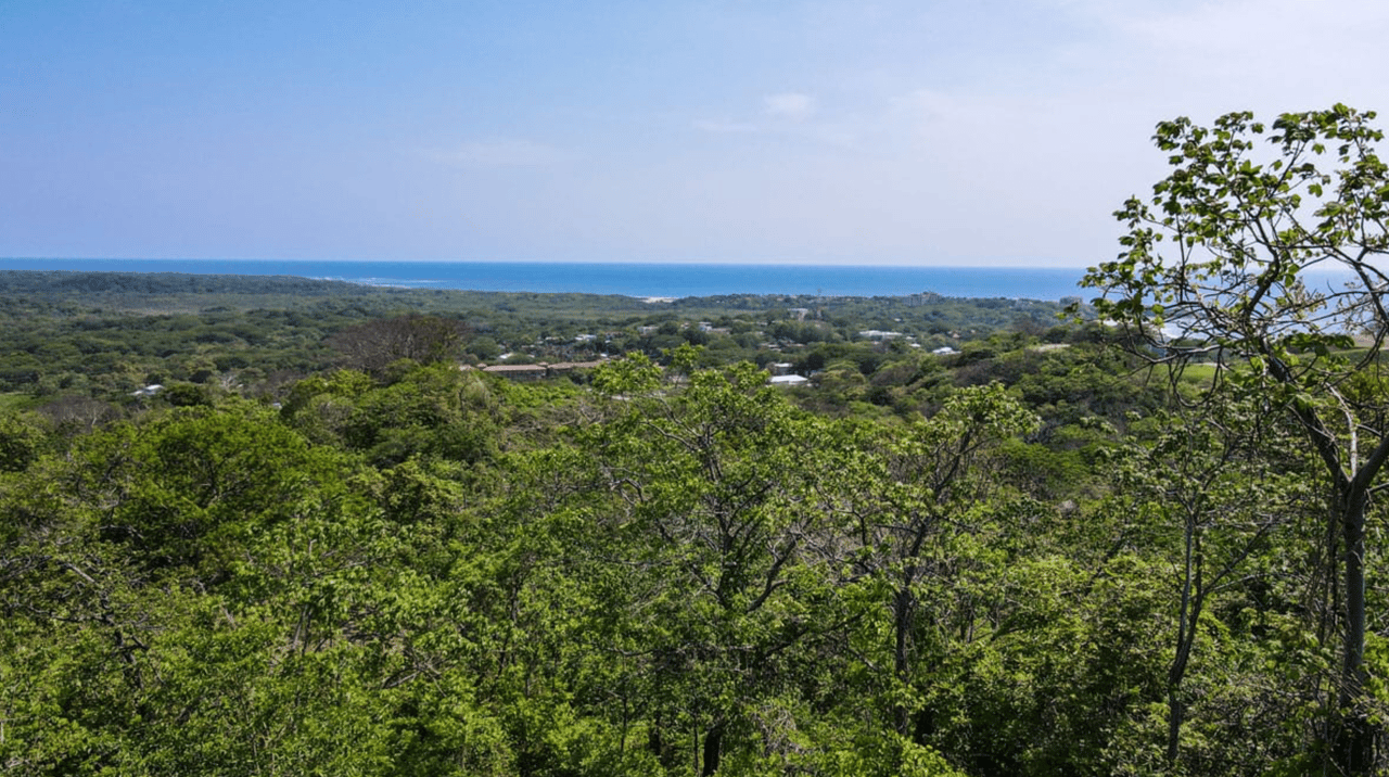 Paradise Ridge Retreat - Luxurious Oceanview Living - Senderos