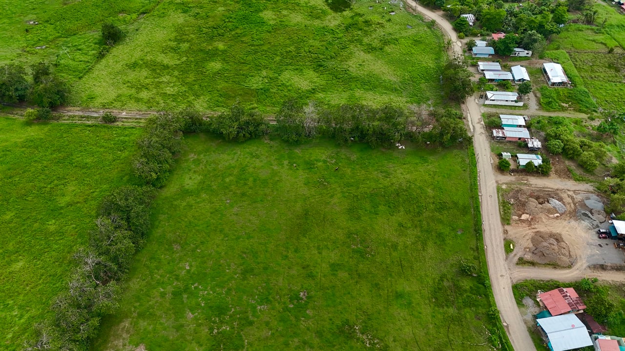 Fire Sale – Over 12 Acres of Land with Public Road Frontage Near Ojochal