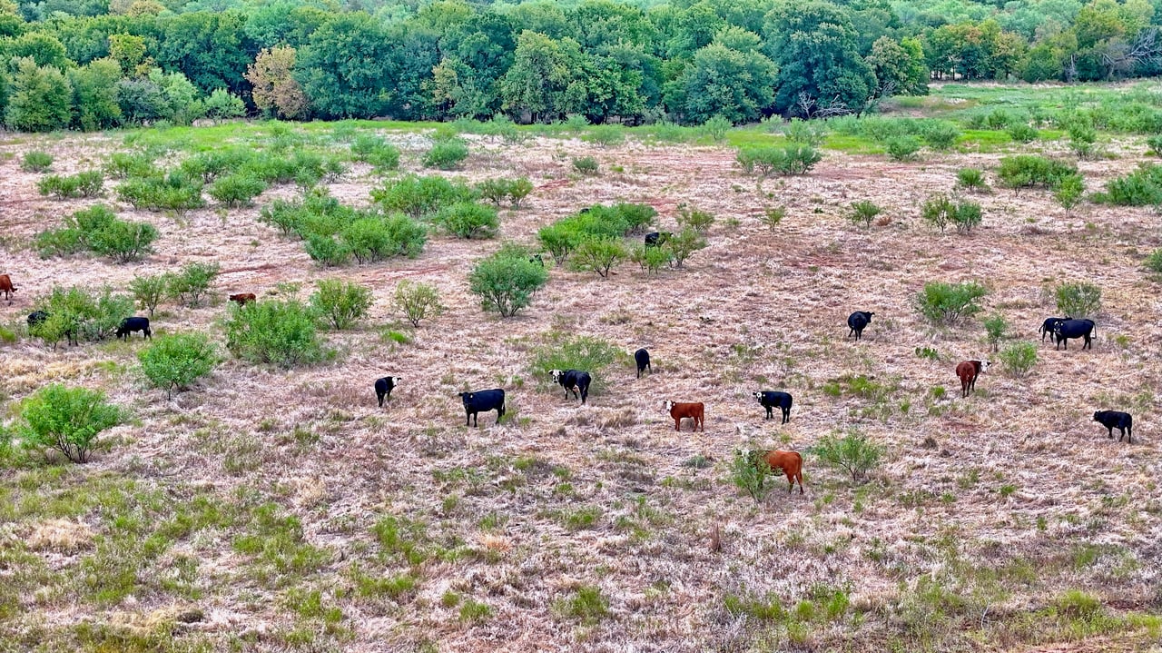 Cross Creek Ranch 