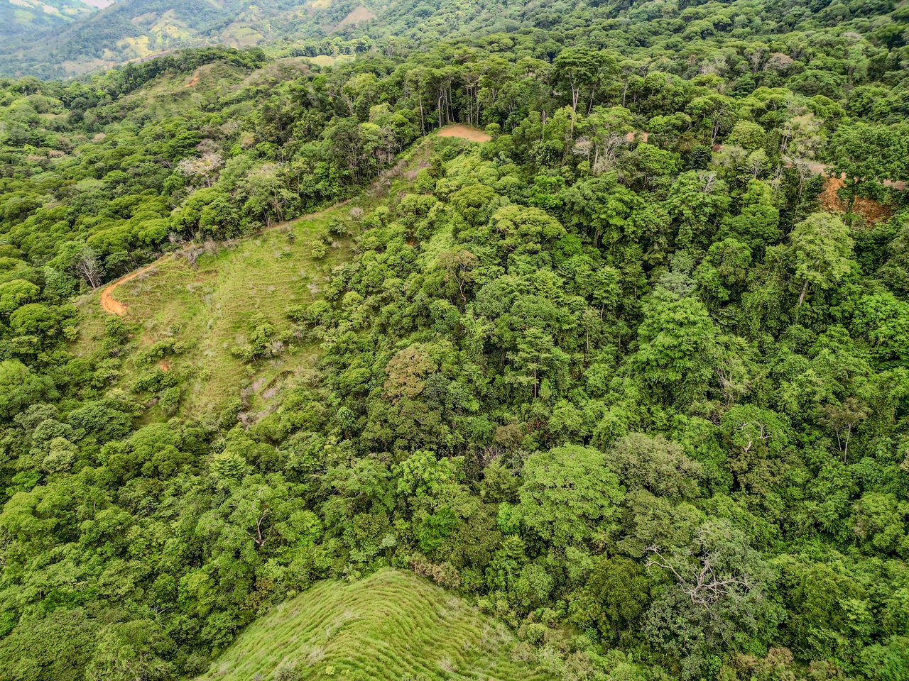 59.35 ACRES- Ocean And Mountain View Land, 6 Building Areas, Legal Water, Public Road, 20min From Beaches!!!
