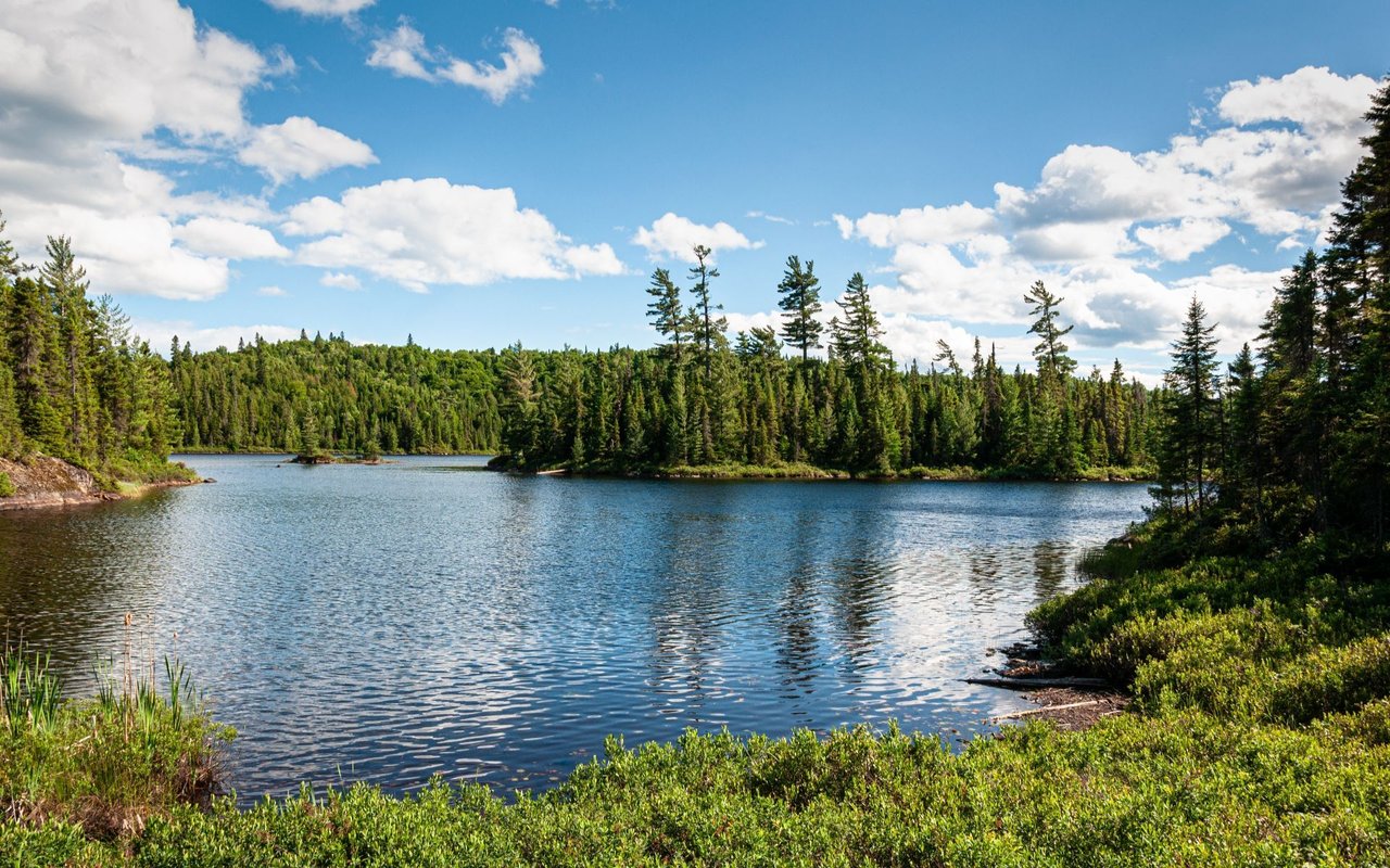 Black Creek / Merville