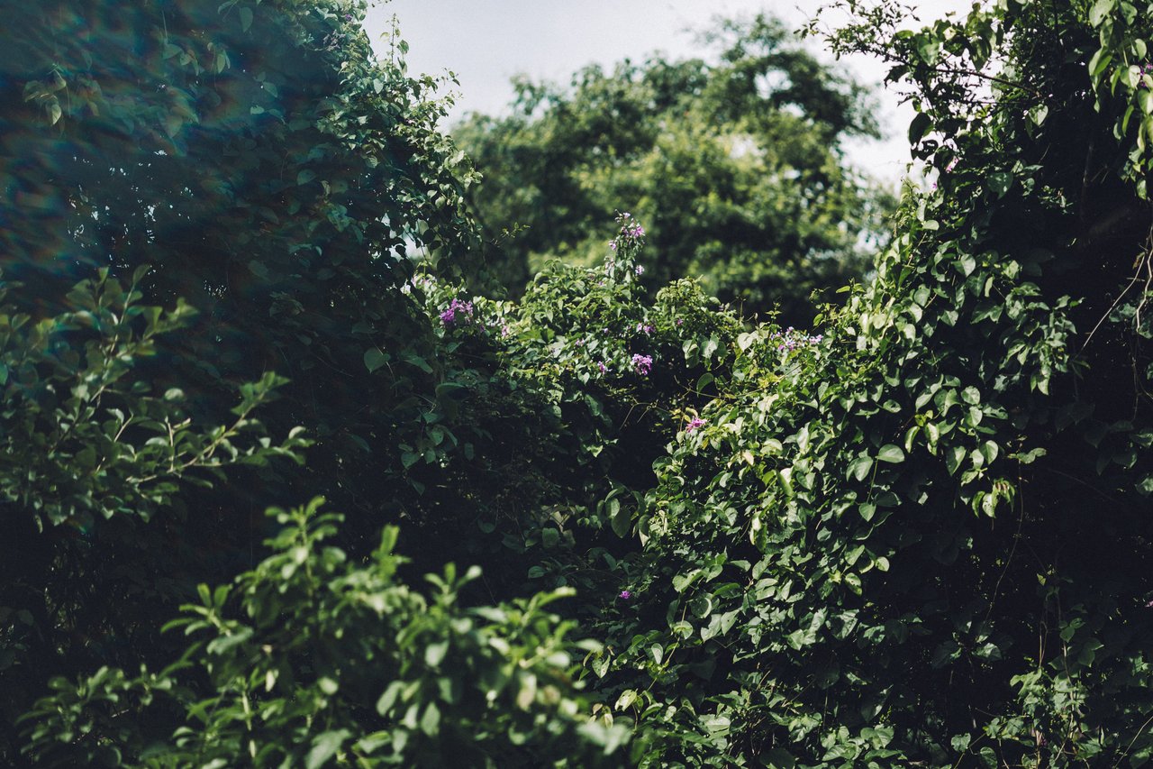  Punta Sabana & Mar Serena