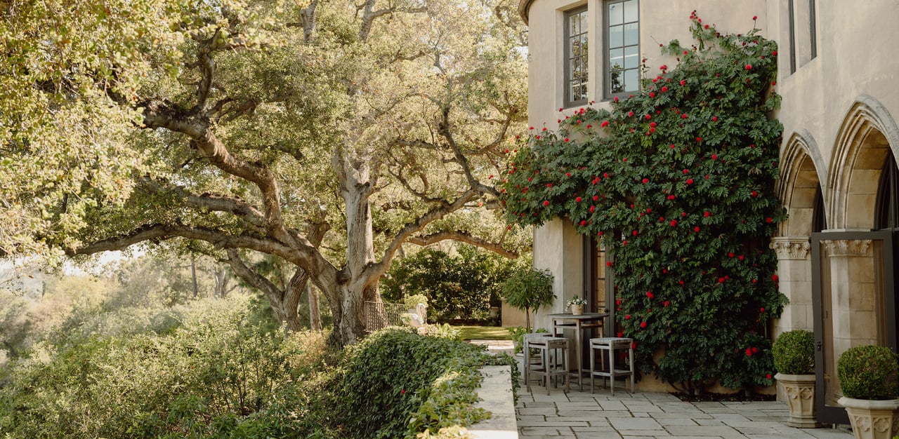 A Neighborhood to Know: St. Helena