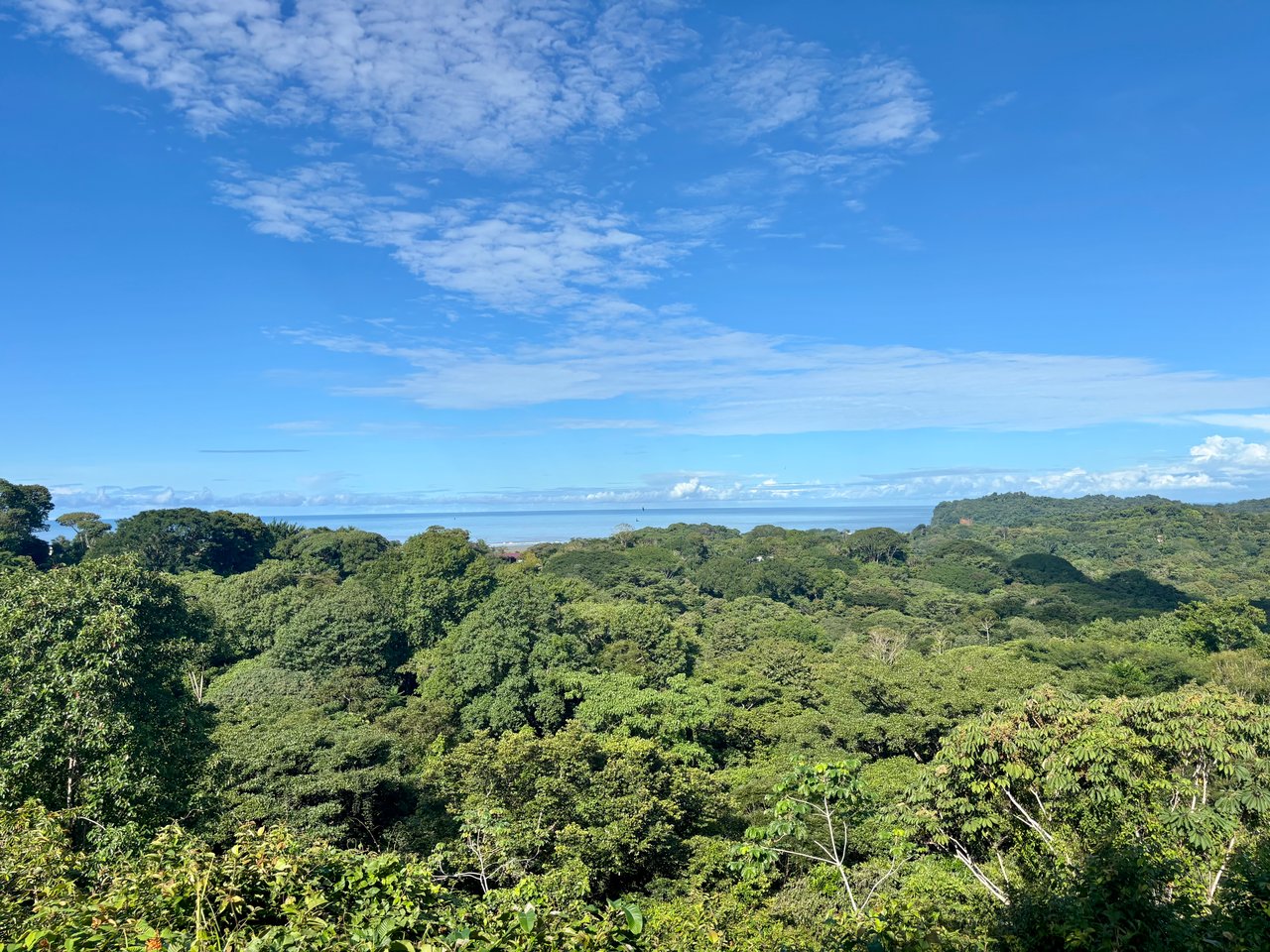 3.41 Acres, Ocean View Property In Ojochal With Legal Water!