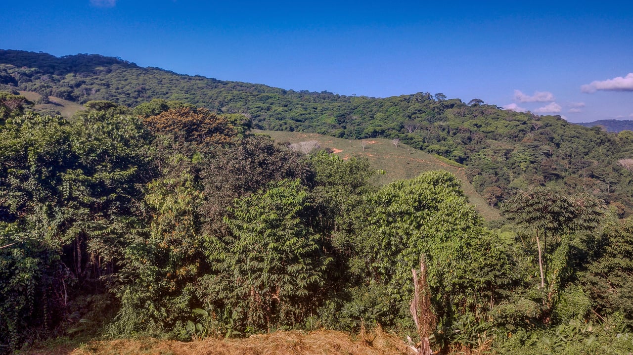 7 ACRES – Mountain Views! Large Building Area, Walking Distance To The Largest Waterfall In The Area, Public Road, Private Setting, Ready To Build, 20Min to Dominical!!